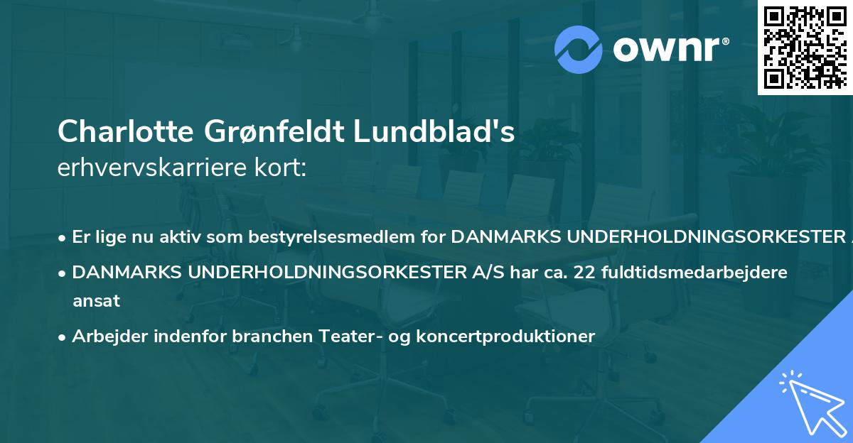 Charlotte Grønfeldt Lundblad's erhvervskarriere kort