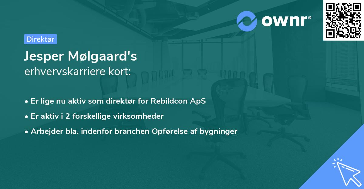 Jesper Mølgaard's erhvervskarriere kort