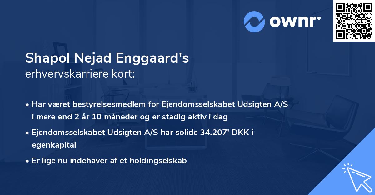 Shapol Nejad Enggaard's erhvervskarriere kort