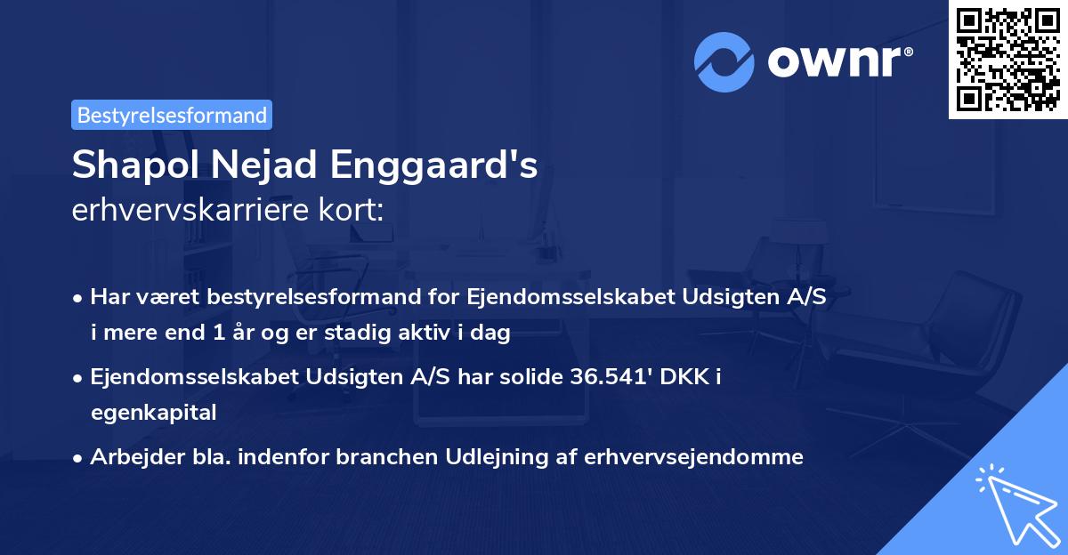 Shapol Nejad Enggaard's erhvervskarriere kort