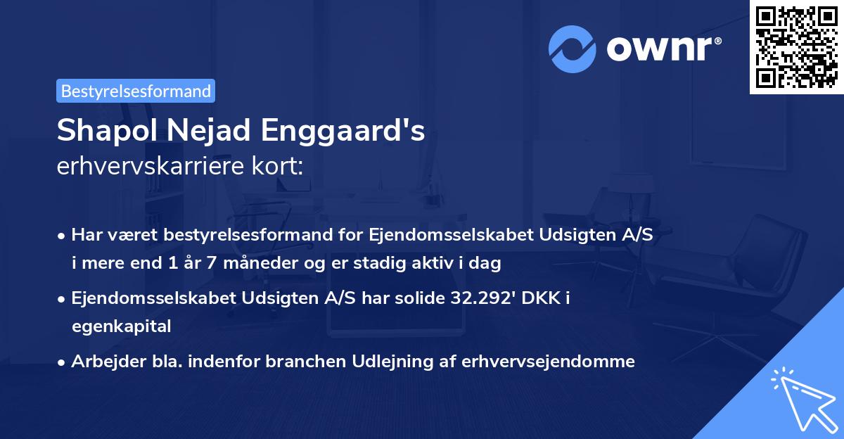 Shapol Nejad Enggaard's erhvervskarriere kort