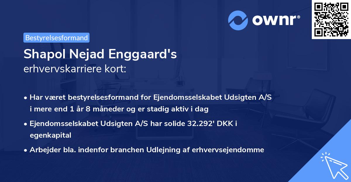 Shapol Nejad Enggaard's erhvervskarriere kort