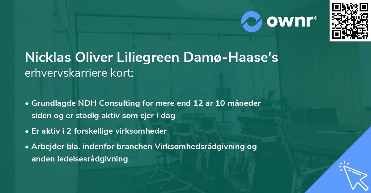 Nicklas Oliver Liliegreen Damø-Haase's erhvervskarriere kort