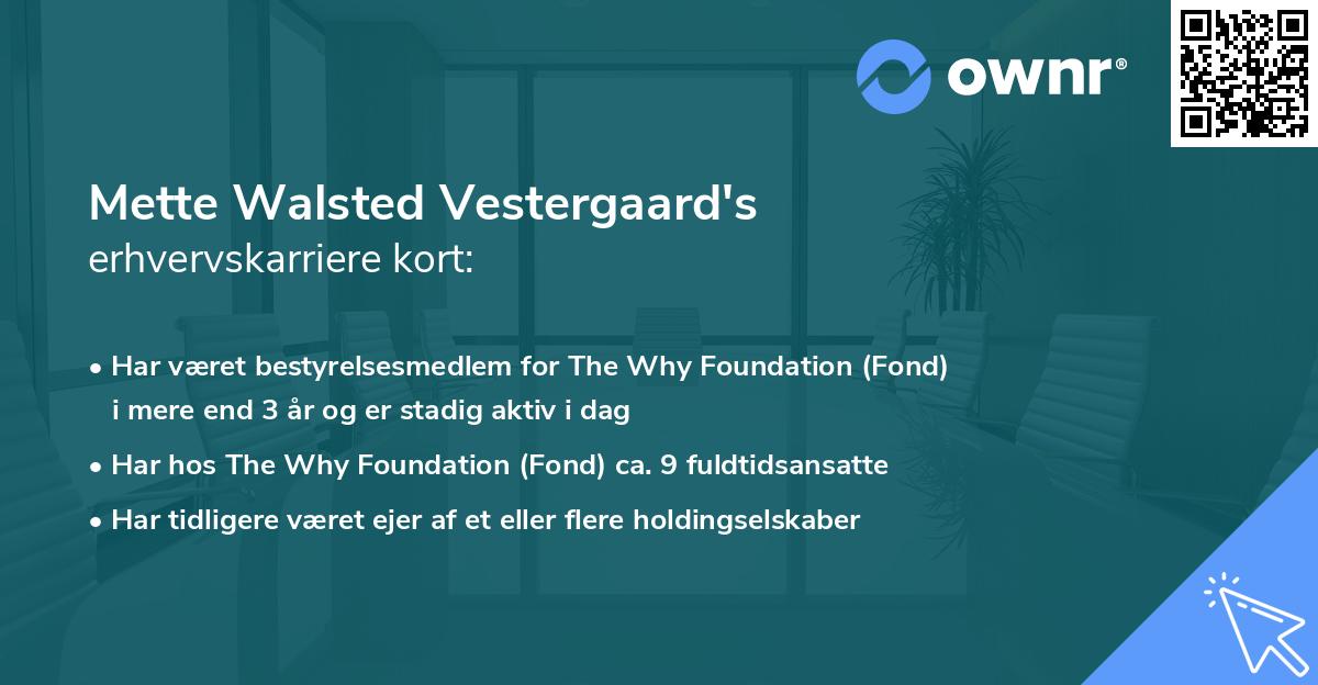 Mette Walsted Vestergaard's erhvervskarriere kort