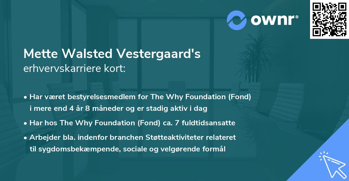 Mette Walsted Vestergaard's erhvervskarriere kort