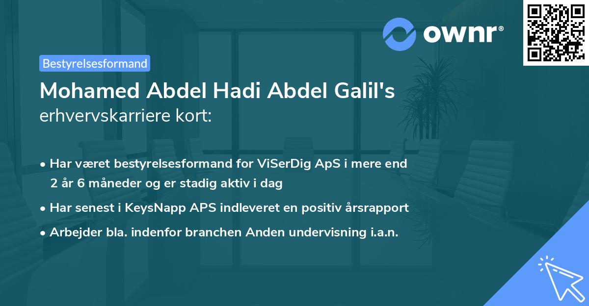 Mohamed Abdel Hadi Abdel Galil's erhvervskarriere kort