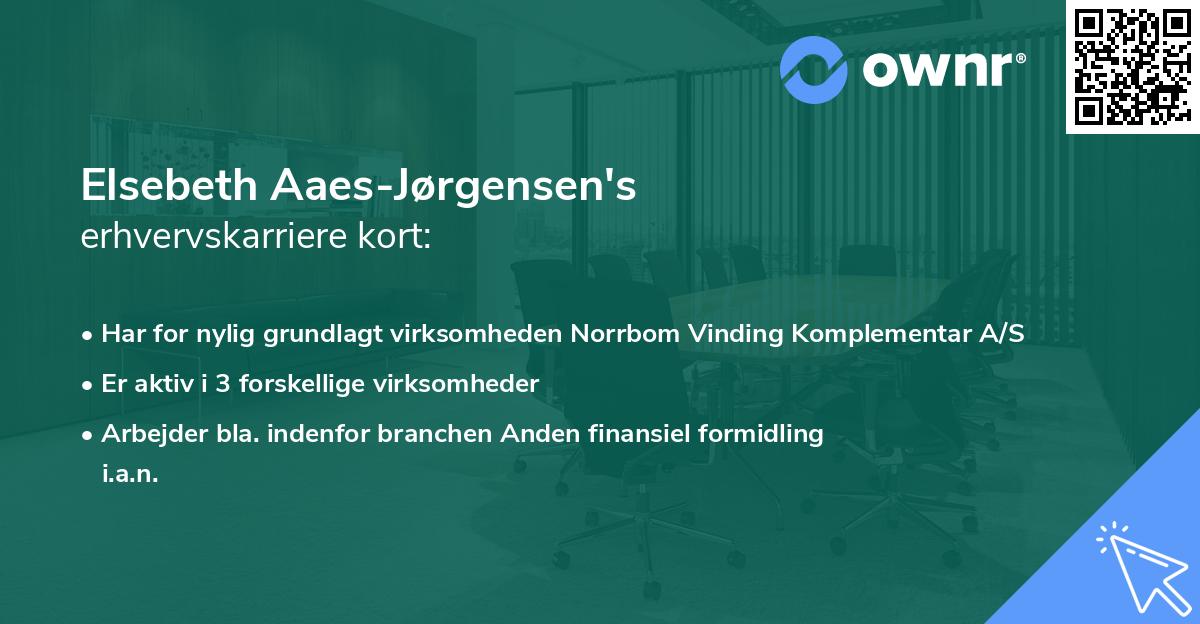 Elsebeth Aaes-Jørgensen's erhvervskarriere kort