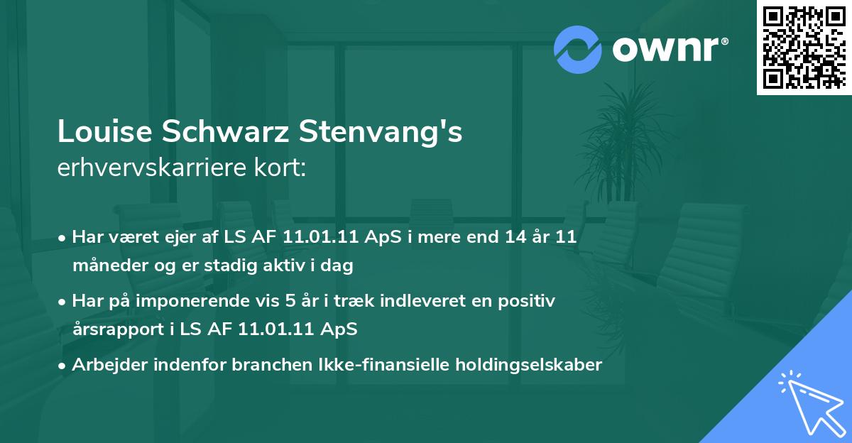 Louise Schwarz Stenvang's erhvervskarriere kort