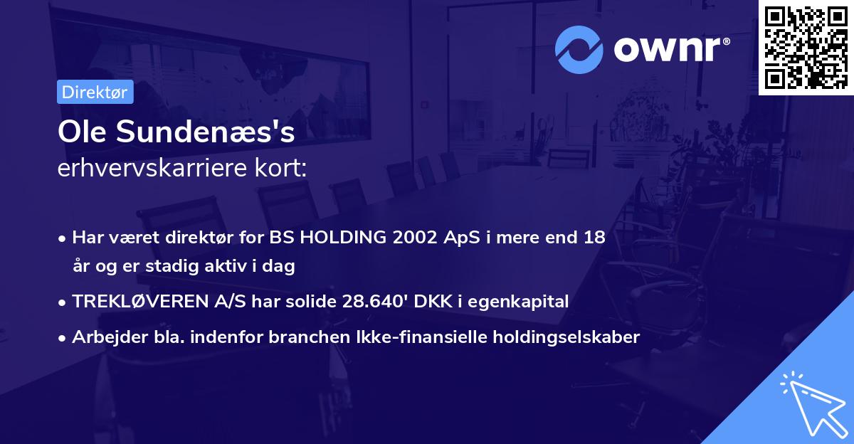 Ole Sundenæs's erhvervskarriere kort