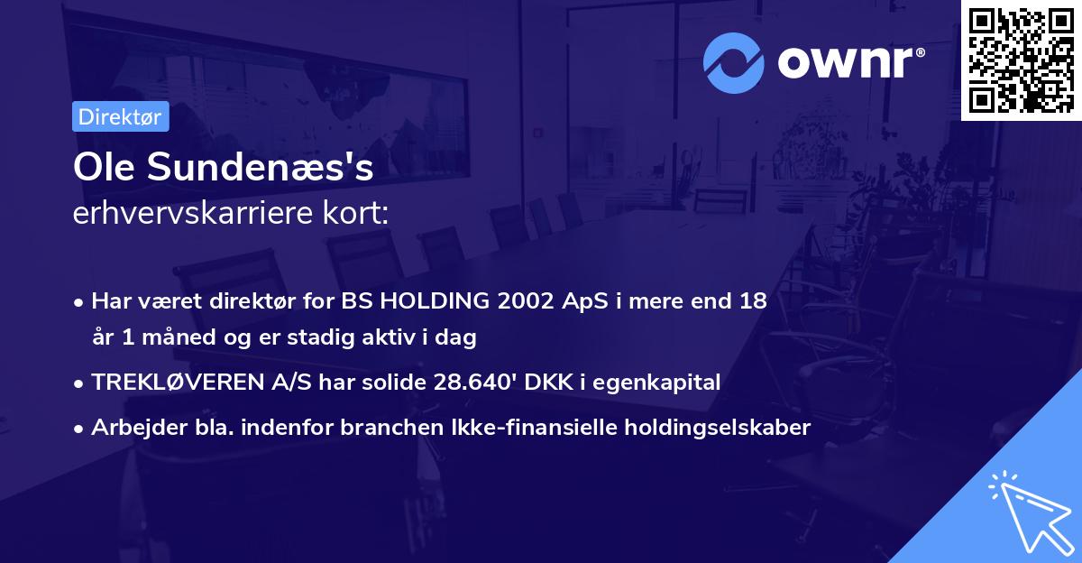 Ole Sundenæs's erhvervskarriere kort