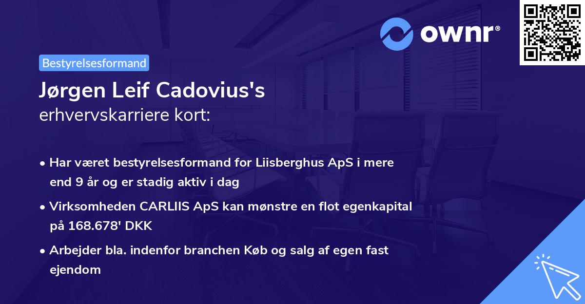 Jørgen Leif Cadovius's erhvervskarriere kort