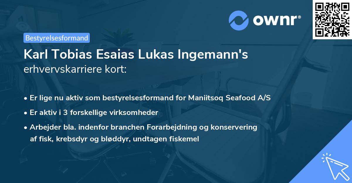 Karl Tobias Esaias Lukas Ingemann's erhvervskarriere kort