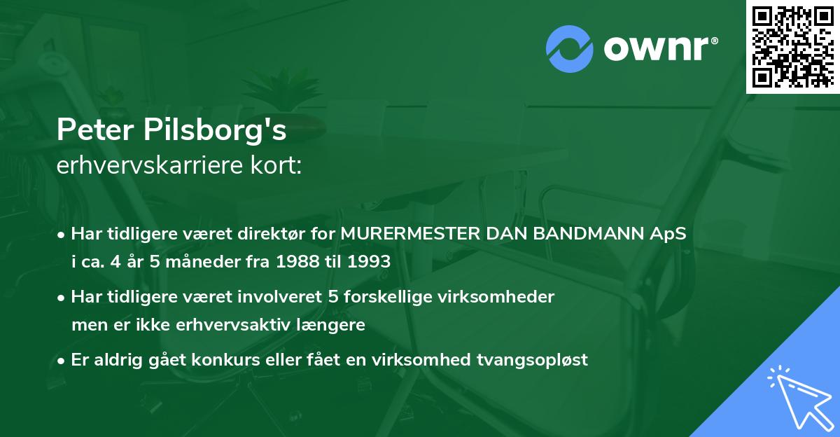 Peter Pilsborg's erhvervskarriere kort