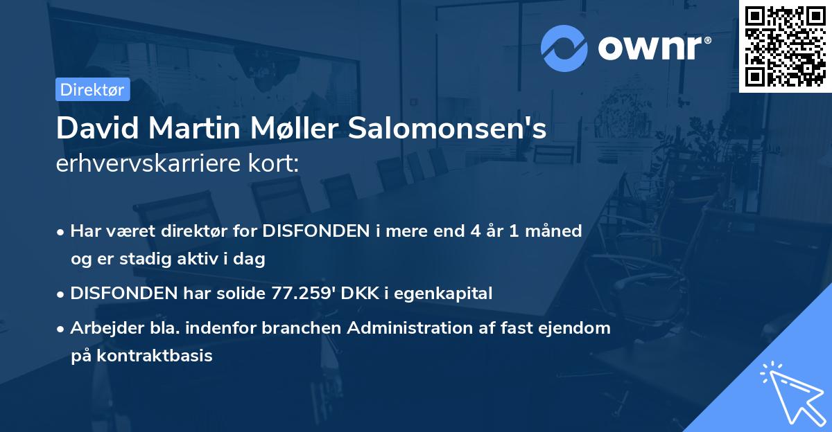 David Martin Møller Salomonsen's erhvervskarriere kort