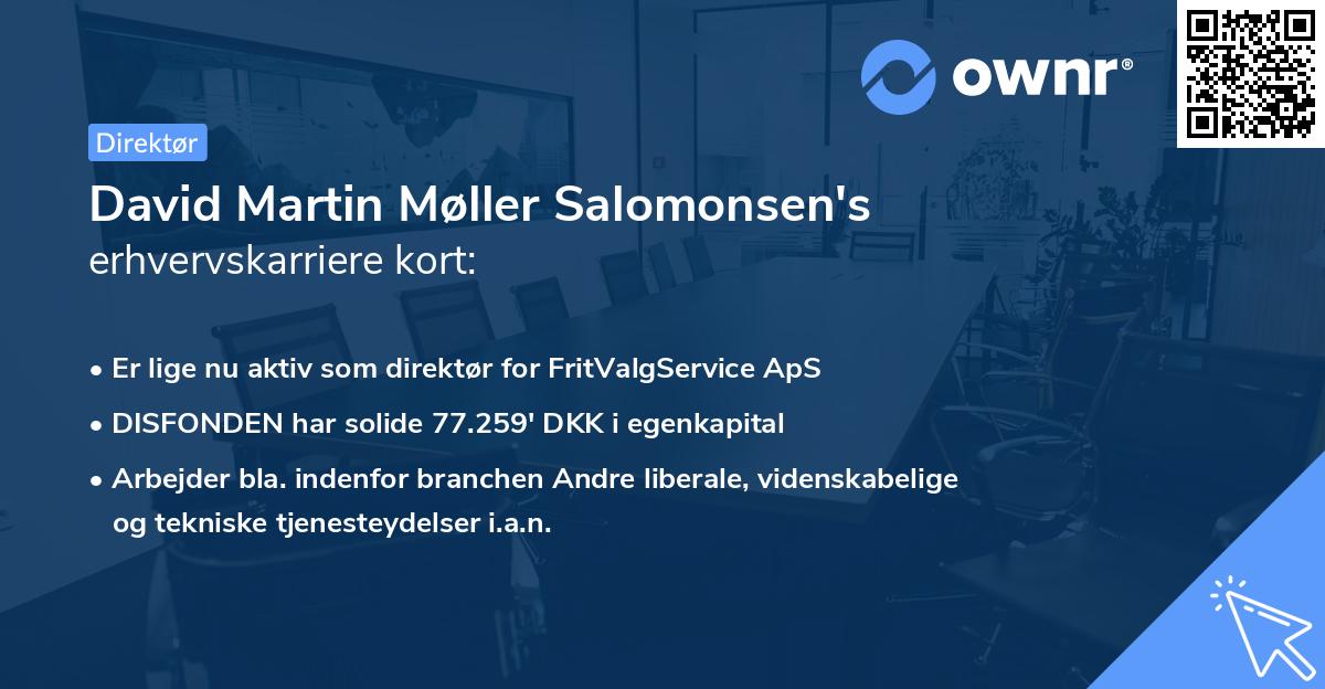 David Martin Møller Salomonsen's erhvervskarriere kort