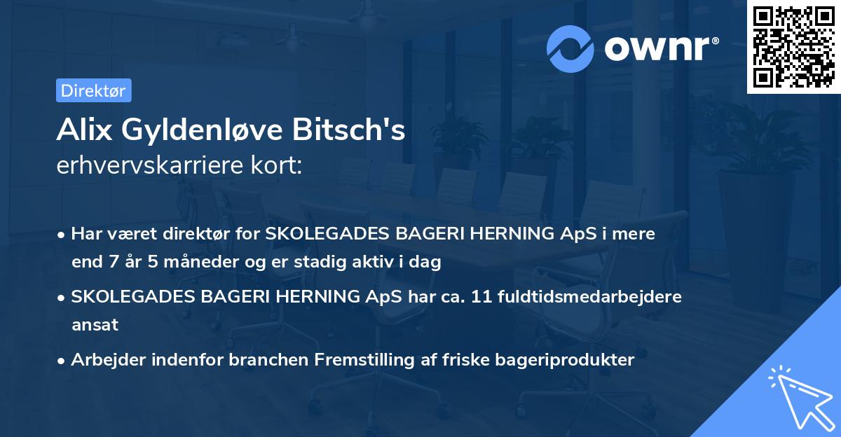 Alix Gyldenløve Bitsch's erhvervskarriere kort