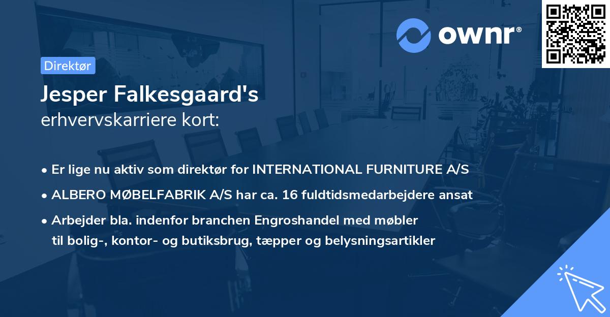 Jesper Falkesgaard's erhvervskarriere kort