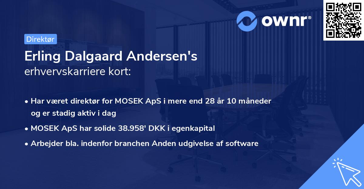 Erling Dalgaard Andersen's erhvervskarriere kort