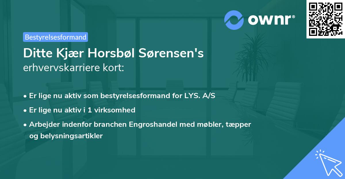 Ditte Kjær Horsbøl Sørensen's erhvervskarriere kort