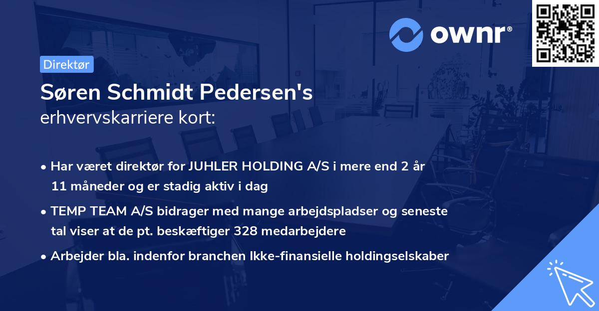 Søren Schmidt Pedersen's erhvervskarriere kort