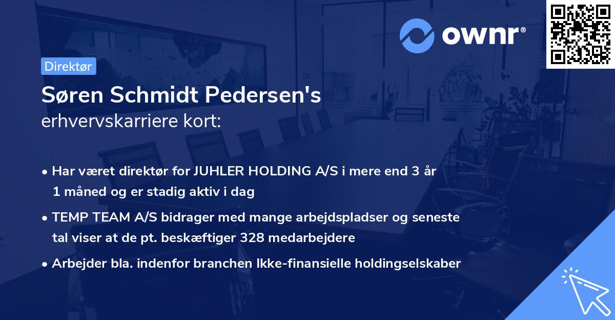 Søren Schmidt Pedersen's erhvervskarriere kort