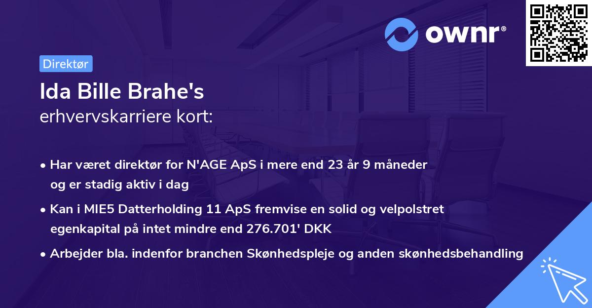 Ida Bille Brahe's erhvervskarriere kort