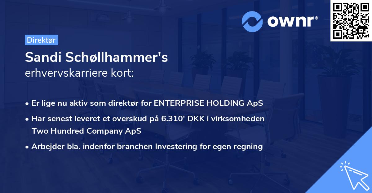 Sandi Schøllhammer's erhvervskarriere kort