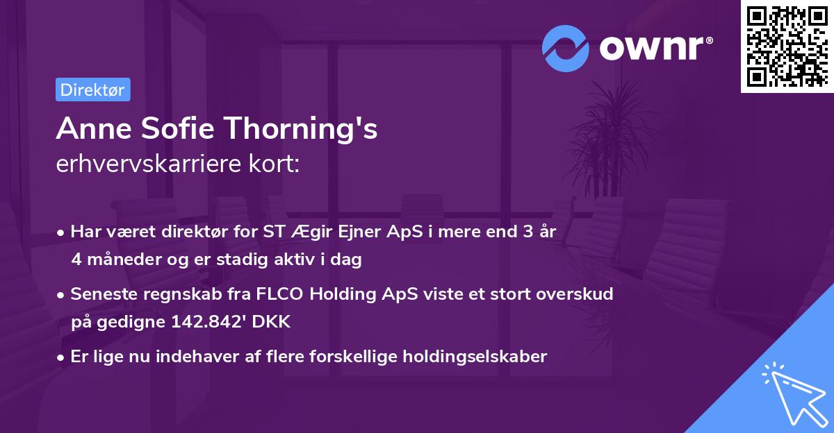 Anne Sofie Thorning's erhvervskarriere kort