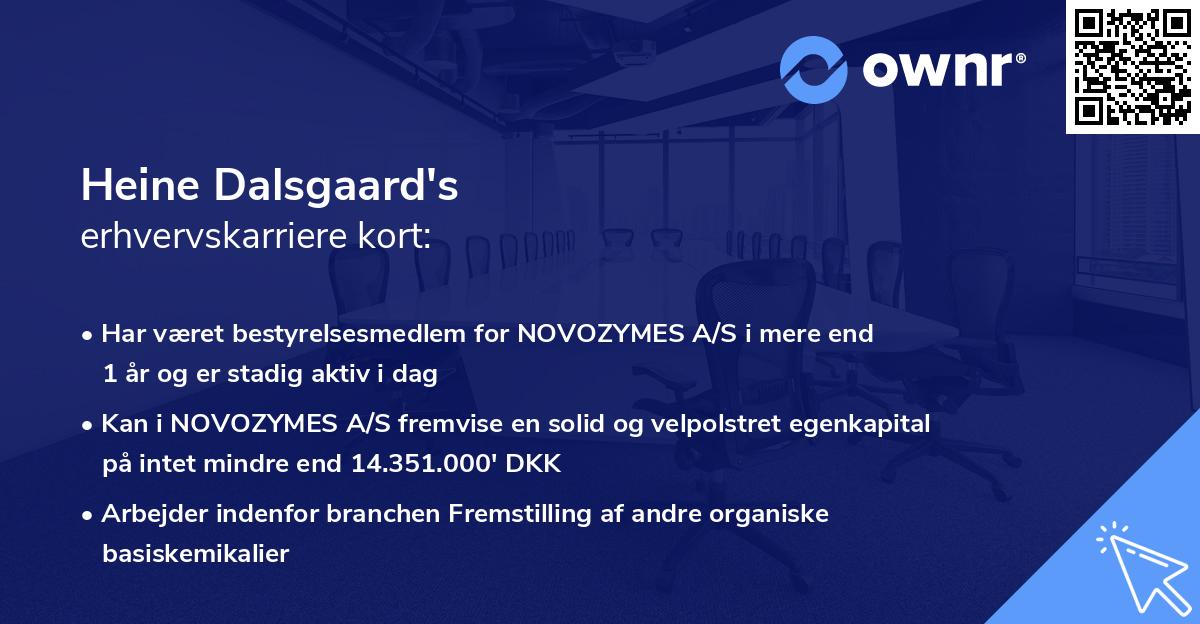 Heine Dalsgaard's erhvervskarriere kort
