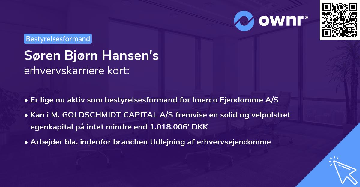 Søren Bjørn Hansen's erhvervskarriere kort
