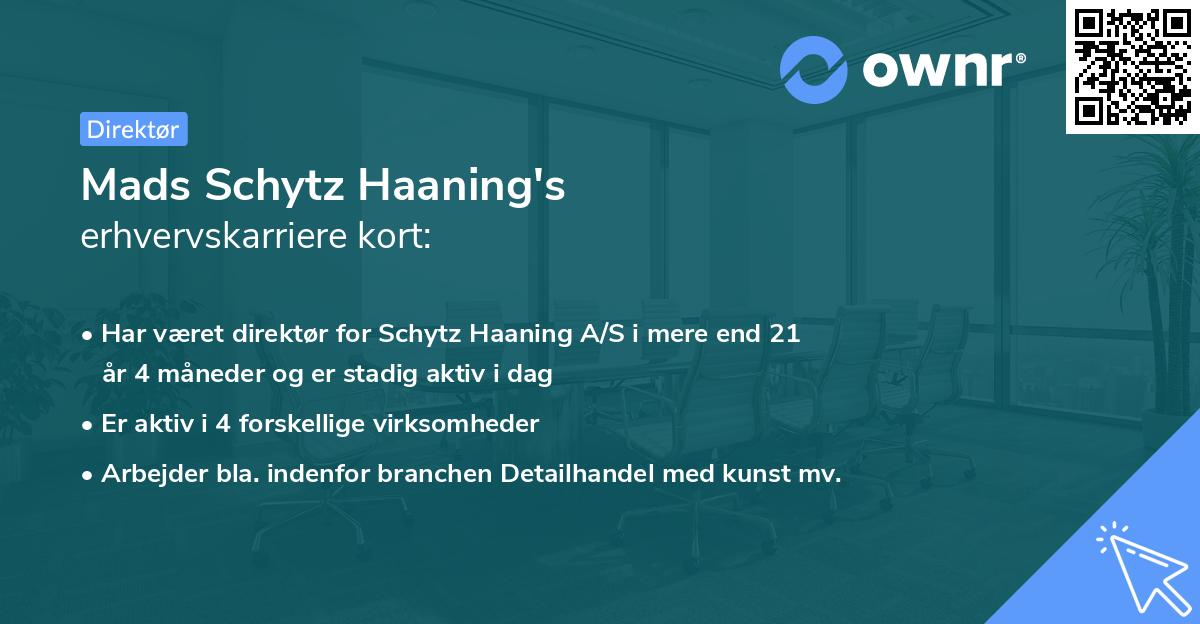 Mads Schytz Haaning's erhvervskarriere kort