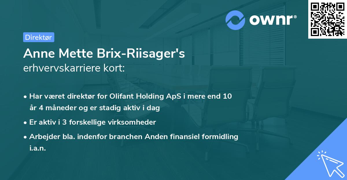 Anne Mette Brix-Riisager's erhvervskarriere kort
