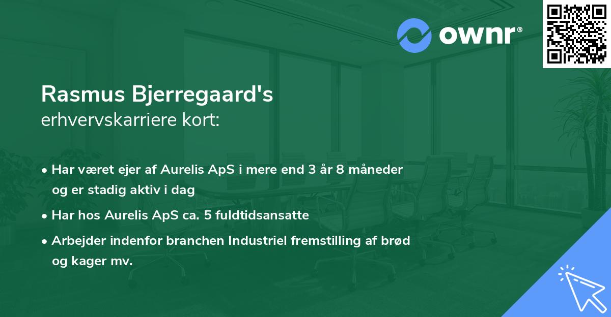 Rasmus Bjerregaard's erhvervskarriere kort