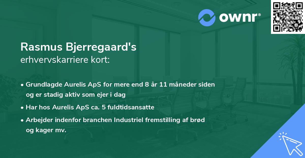 Rasmus Bjerregaard's erhvervskarriere kort