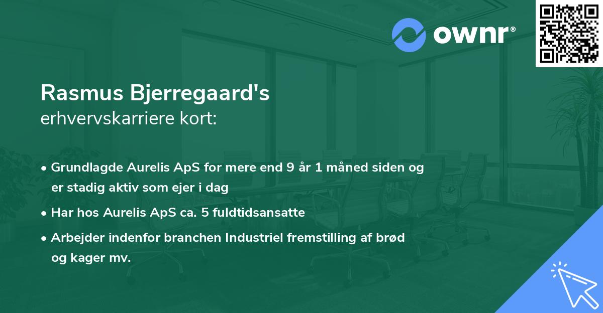 Rasmus Bjerregaard's erhvervskarriere kort
