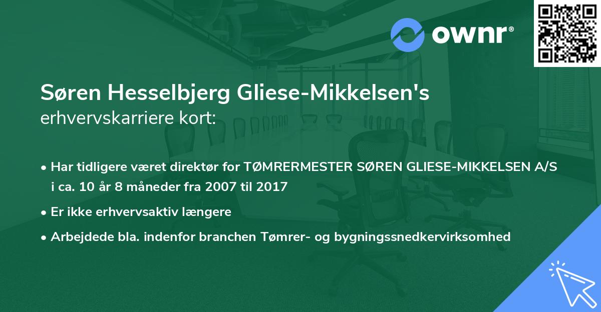 Søren Hesselbjerg Gliese-Mikkelsen's erhvervskarriere kort
