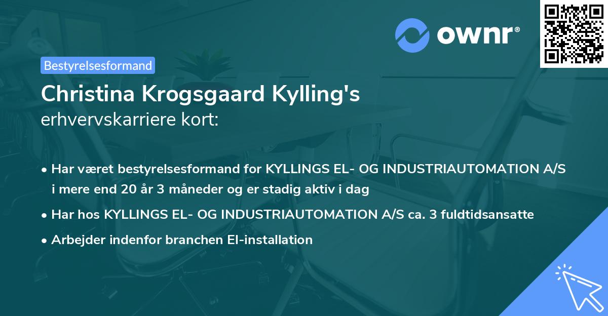 Christina Krogsgaard Kylling's erhvervskarriere kort