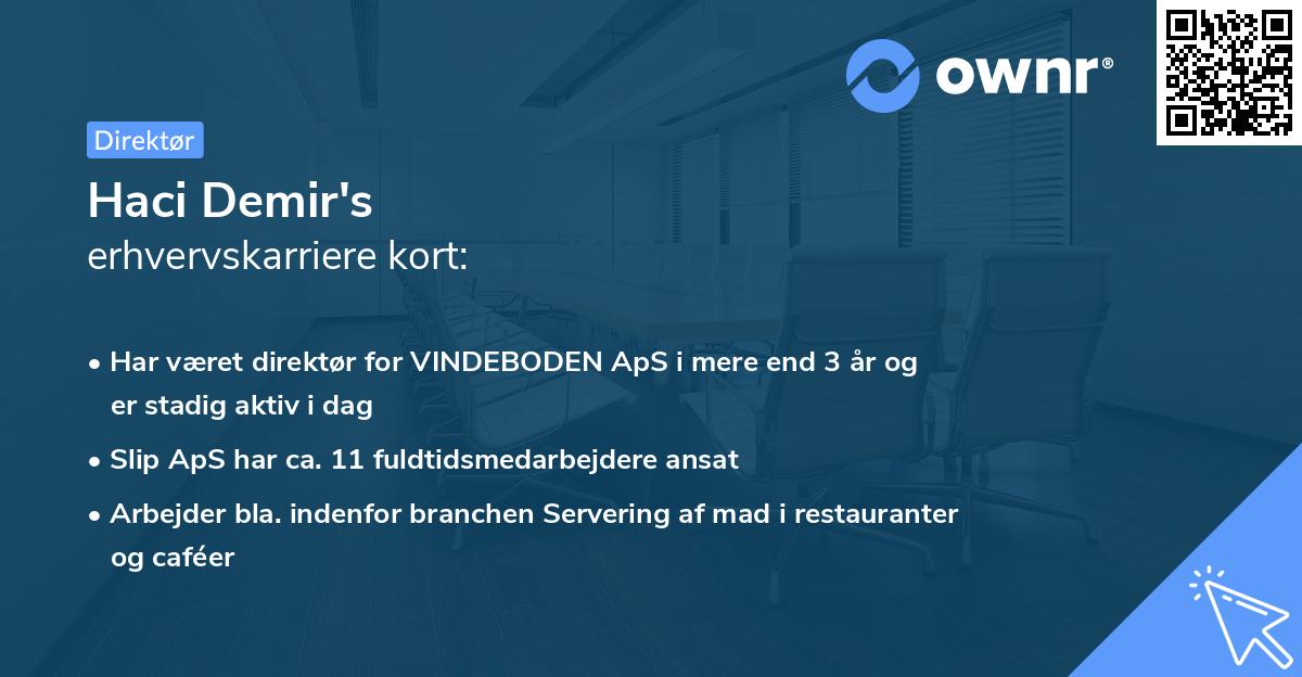 Haci Demir's erhvervskarriere kort