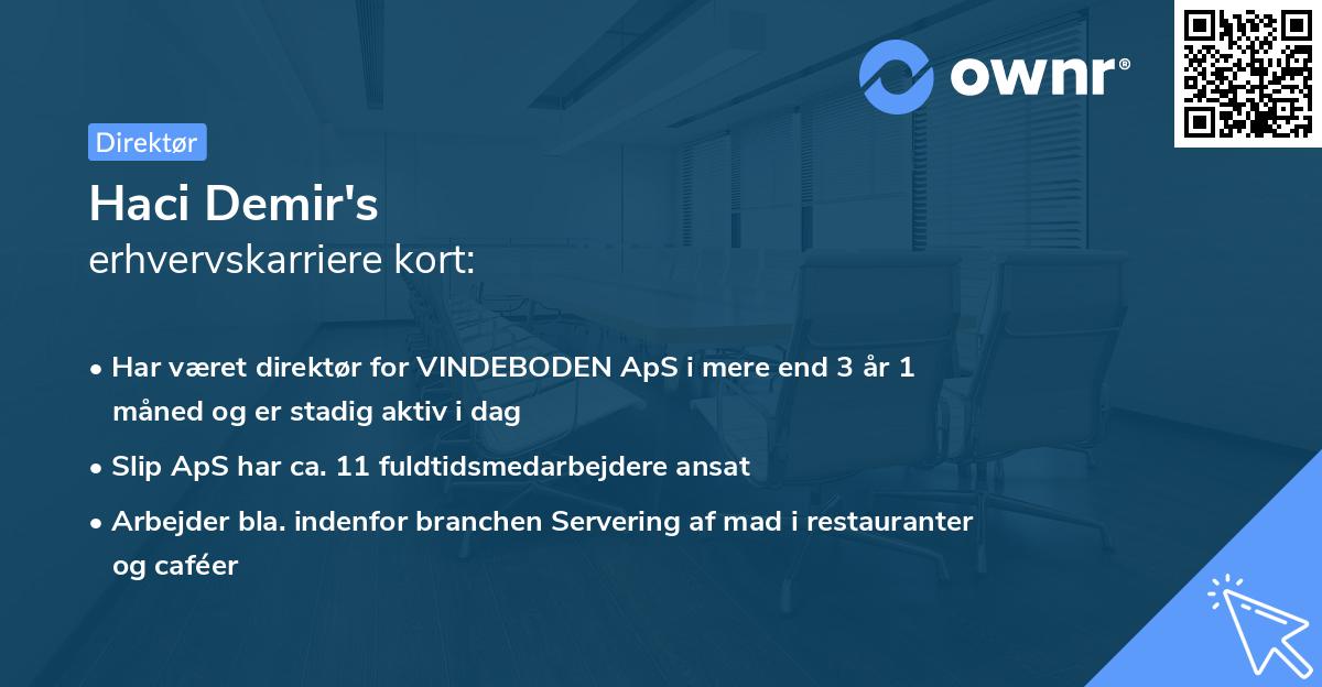 Haci Demir's erhvervskarriere kort