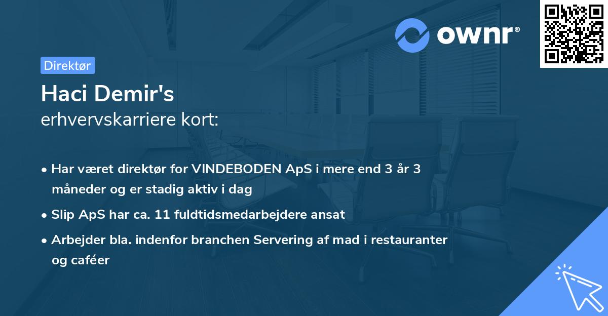 Haci Demir's erhvervskarriere kort
