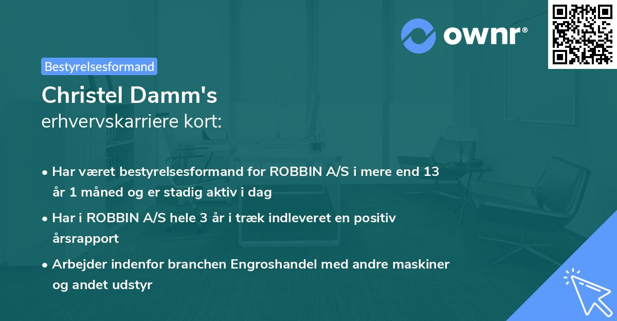 Christel Damm's erhvervskarriere kort