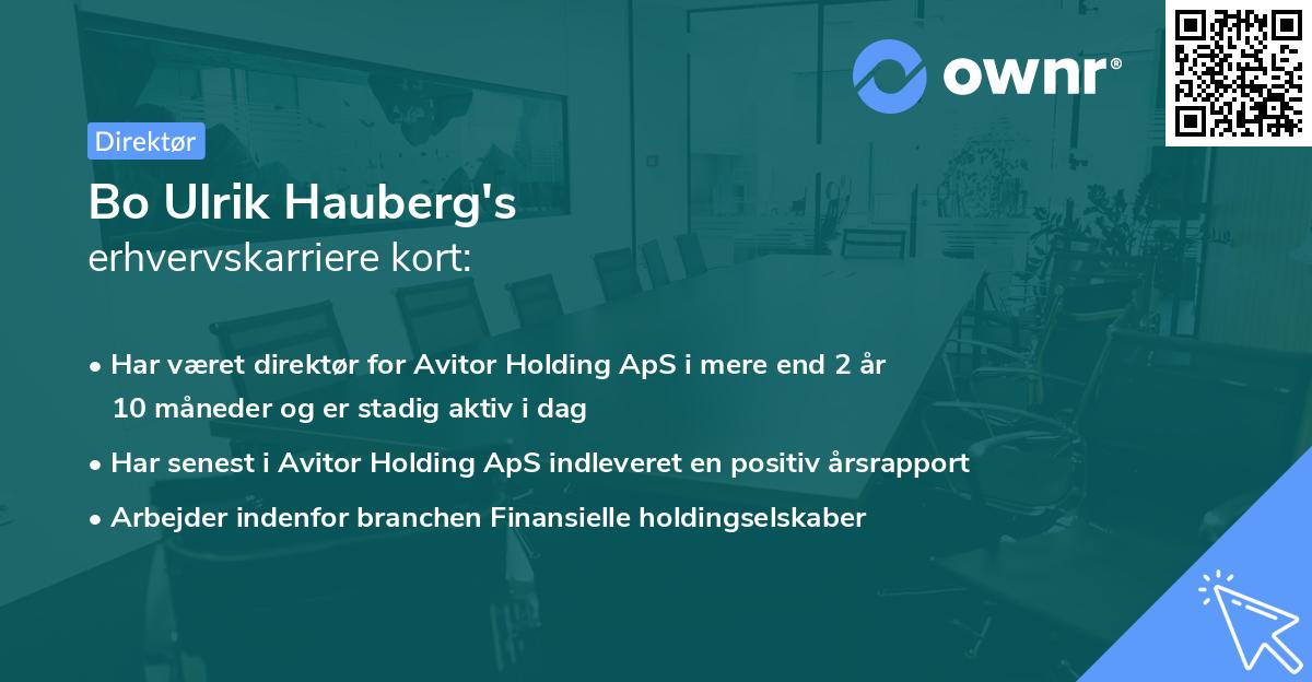Bo Ulrik Hauberg's erhvervskarriere kort