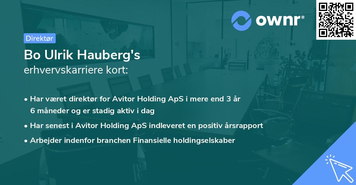 Bo Ulrik Hauberg's erhvervskarriere kort