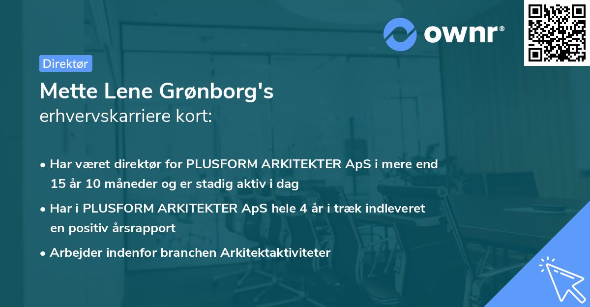 Mette Lene Grønborg's erhvervskarriere kort