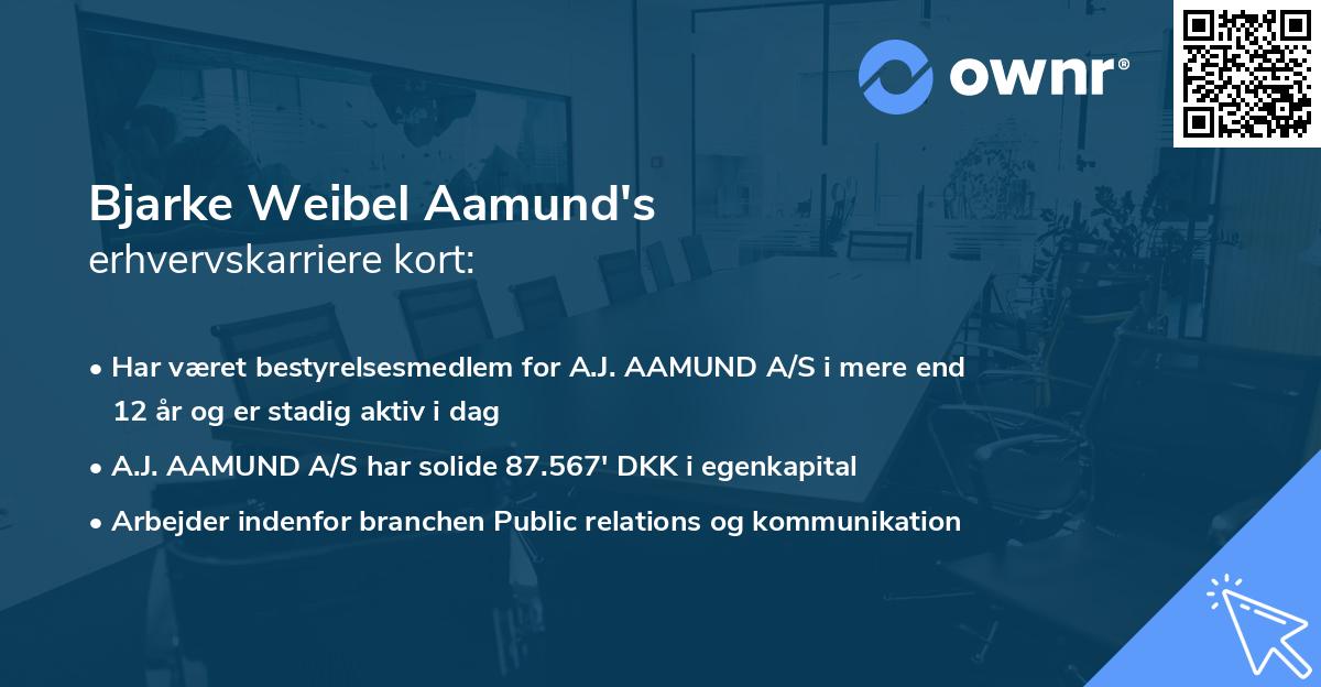 Bjarke Weibel Aamund's erhvervskarriere kort