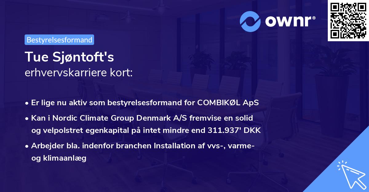 Tue Sjøntoft's erhvervskarriere kort