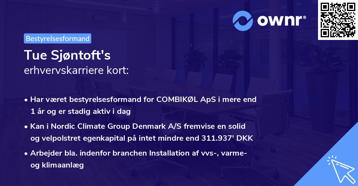 Tue Sjøntoft's erhvervskarriere kort
