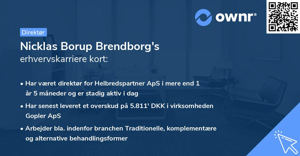 Nicklas Borup Brendborg's erhvervskarriere kort
