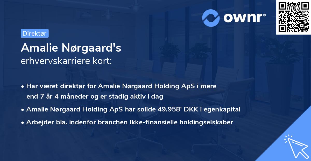 Amalie Nørgaard's erhvervskarriere kort