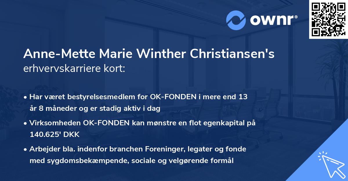 Anne-Mette Marie Winther Christiansen's erhvervskarriere kort